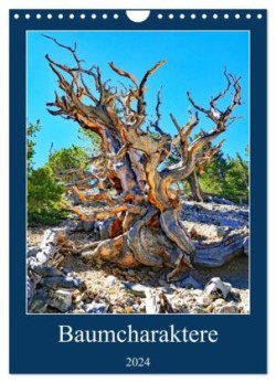 Baumcharaktere (Wandkalender 2024 DIN A4 hoch), CALVENDO Monatskalender