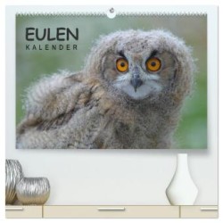 Eulen-Kalender (hochwertiger Premium Wandkalender 2024 DIN A2 quer), Kunstdruck in Hochglanz
