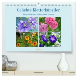 Geliebte Kletterkünstler (hochwertiger Premium Wandkalender 2024 DIN A2 quer), Kunstdruck in Hochglanz