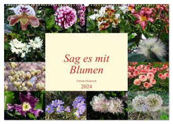 Sag es mit Blumen (Wandkalender 2024 DIN A2 quer), CALVENDO Monatskalender