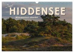 Insel Hiddensee - Wildromantisch unberührt (Wandkalender 2024 DIN A3 quer), CALVENDO Monatskalender