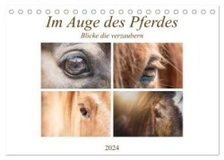 Im Auge des Pferdes (Tischkalender 2024 DIN A5 quer), CALVENDO Monatskalender