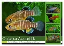 Outdoor-Aquaristik (Wandkalender 2024 DIN A2 quer), CALVENDO Monatskalender