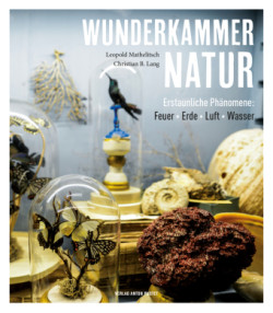 Wunderkammer Natur