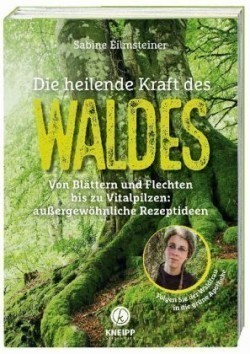 Die heilende Kraft des Waldes