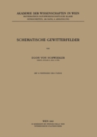 Schematische Gewitterfelder