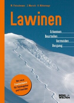 Lawinen