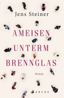 Ameisen unterm Brennglas