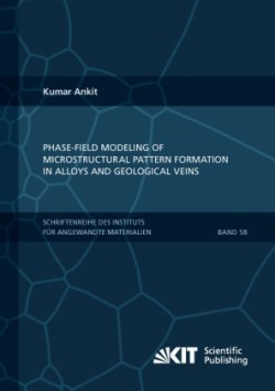 Phase-field modeling of microstructural pattern formation in alloys and geological veins