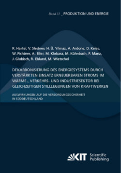 Dekarbonisierung des Energiesystems durch verstärkten Einsatz erneuerbaren Stroms im Wärme-, Verkehrs- und Industriesektor bei gleichzeitigen Stilllegungen von Kraftwerken - Auswirkungen auf die Versorgungssicherheit in Süddeutschland