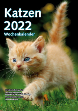 Wochenkalender Katzen 2022