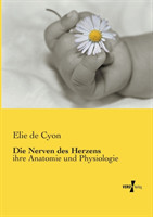 Nerven des Herzens