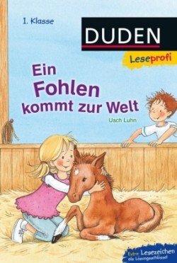 Duden Leseprofi - Ein Fohlen kommt zur Welt, 1. Klasse