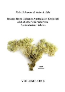 Images from Lichenes Australasici Exsiccati and of other characteristic Australasian Lichens. Vol.1