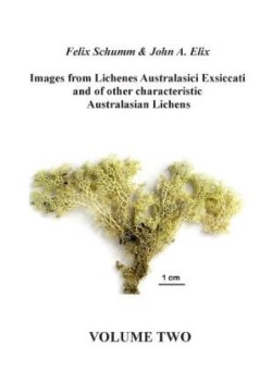 Images from Lichenes Australasici Exsiccati and of other characteristic Australasian Lichens. Vol.2