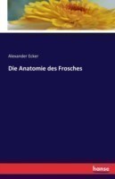 Anatomie des Frosches