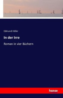 In der Irre Roman in vier Buchern