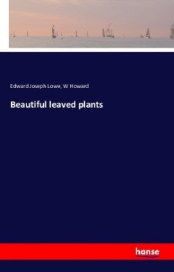 Beautiful leaved plants