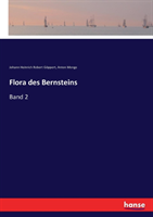 Flora des Bernsteins