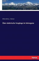 Über elektrische Vorgänge im Sehorgane