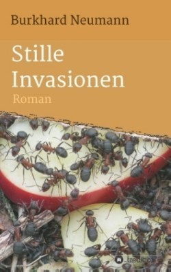Stille Invasionen