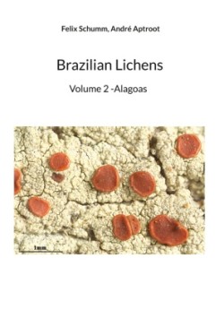 Brazilian Lichens, Vol 2