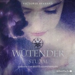 Wütender Sturm (Die Farben des Blutes 4), 3 Audio-CD, 3 MP3