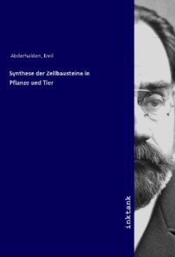 Synthese der Zellbausteine in Pflanze und Tier