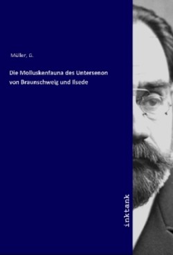 Die Molluskenfauna des Untersenon von Braunschweig und Ilsede