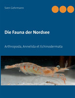 Fauna der Nordsee