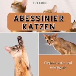 Abessinierkatzen