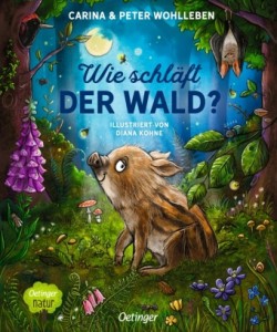 Wie schläft der Wald?