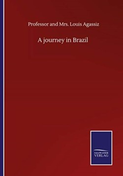 journey in Brazil