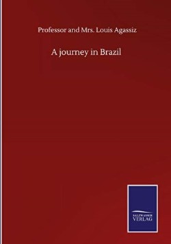 journey in Brazil