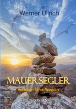 Mauersegler