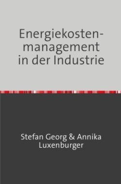 Energiekostenmanagement in der Industrie