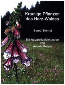 Krautige Pflanzen des Harz-Waldes