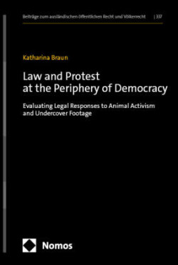 Law and Protest at the Periphery of Democracy