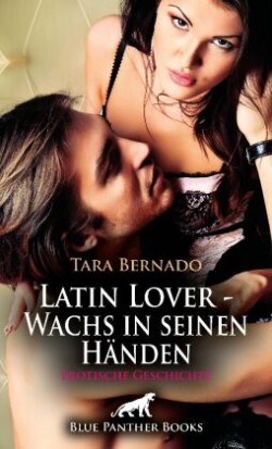 Latin Lover - Wachs in seinen Händen | Erotische Geschichte + 3 weitere Geschichten