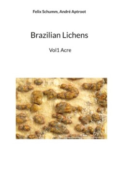 Brazilian Lichens, Vol 1