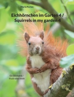 Eichhörnchen im Garten 4 / Squirrels in my garden 4