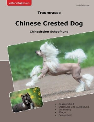 Traumrasse Chinese Crested Dog