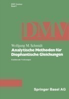 Analytische Methoden für Diophantische Gleichungen