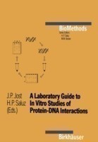 Laboratory Guide to In Vitro Studies of Protein-DNA Interactions