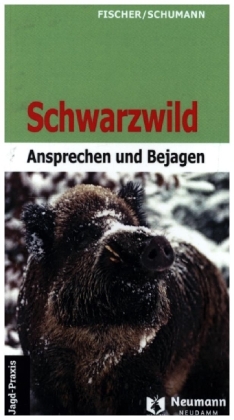 Schwarzwild