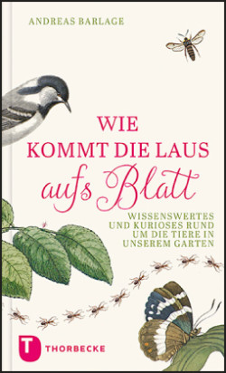 Wie kommt die Laus aufs Blatt?