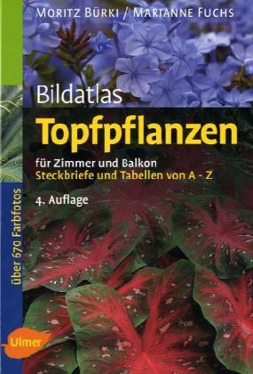 Topfpflanzen