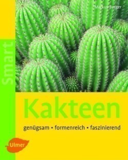 Kakteen