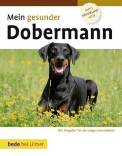 Mein gesunder Dobermann