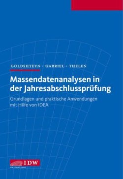 Massendatenanalysen in der Jahresabschlussprüfung